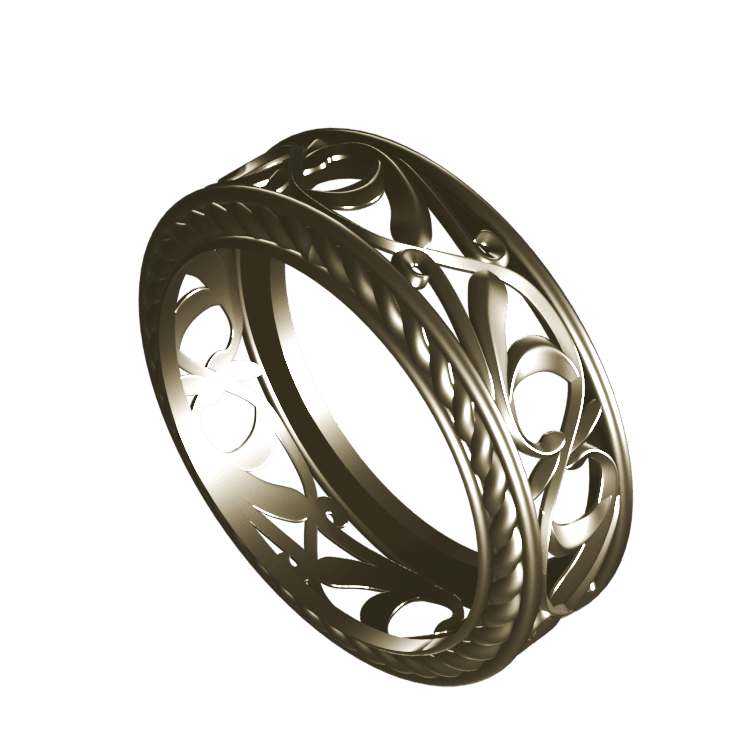 Ring 3d 1